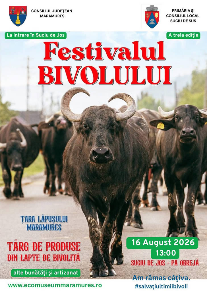Festivalul Bivolului