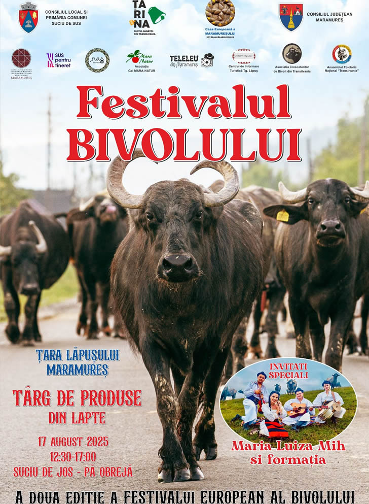 Festivalul Bivolului, editia a II-a